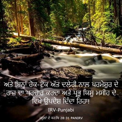 Picture 03 - ਰਸੂਲਾਂ ਦੇ ਕਰਤੱਬ 28:31 PANIRV - ਅਤੇ ਬਿਨ੍ਹਾਂ - Bible Verse Picture