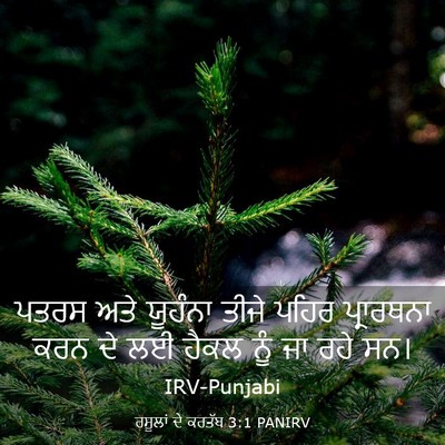 Picture 03 - ਰਸੂਲਾਂ ਦੇ ਕਰਤੱਬ 3:1 PANIRV - ਪਤਰਸ ਅਤੇ ਯੂਹੰਨਾ - Bible Verse Picture
