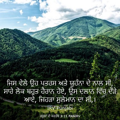 Picture 03 - ਰਸੂਲਾਂ ਦੇ ਕਰਤੱਬ 3:11 PANIRV - ਜਿਸ ਵੇਲੇ ਉਹ ਪਤਰਸ - Bible Verse Picture