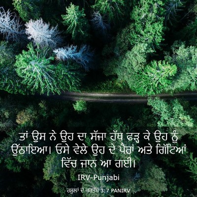 Picture 03 - ਰਸੂਲਾਂ ਦੇ ਕਰਤੱਬ 3:7 PANIRV - ਤਾਂ ਉਸ ਨੇ ਉਹ ਦਾ - Bible Verse Picture