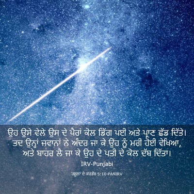 Picture 03 - ਰਸੂਲਾਂ ਦੇ ਕਰਤੱਬ 5:10 PANIRV - ਉਹ ਉਸੇ ਵੇਲੇ ਉਸ ਦੇ - Bible Verse Picture