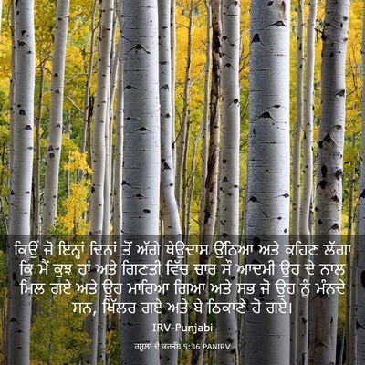 Picture 03 - ਰਸੂਲਾਂ ਦੇ ਕਰਤੱਬ 5:36 PANIRV - ਕਿਉਂ ਜੋ ਇਨ੍ਹਾਂ - Bible Verse Picture