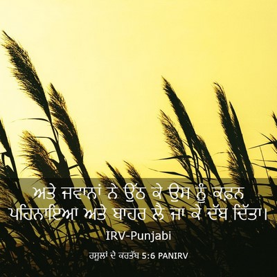 Picture 03 - ਰਸੂਲਾਂ ਦੇ ਕਰਤੱਬ 5:6 PANIRV - ਅਤੇ ਜਵਾਨਾਂ ਨੇ ਉੱਠ - Bible Verse Picture