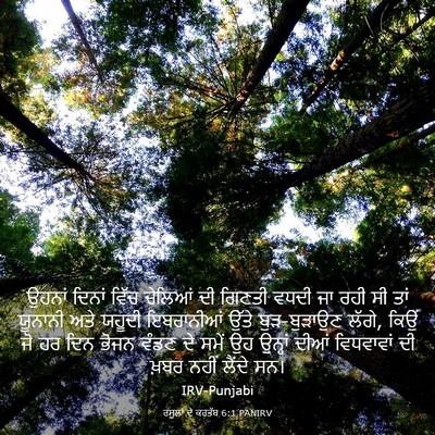 Picture 03 - ਰਸੂਲਾਂ ਦੇ ਕਰਤੱਬ 6:1 PANIRV - ਉਹਨਾਂ ਦਿਨਾਂ ਵਿੱਚ - Bible Verse Picture