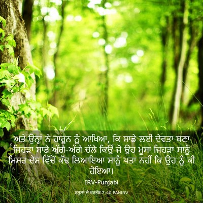 Picture 03 - ਰਸੂਲਾਂ ਦੇ ਕਰਤੱਬ 7:40 PANIRV - ਅਤੇ ਉਨ੍ਹਾਂ ਨੇ - Bible Verse Picture