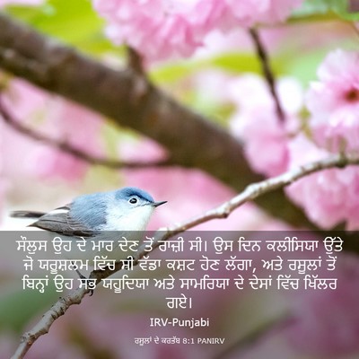Picture 03 - ਰਸੂਲਾਂ ਦੇ ਕਰਤੱਬ 8:1 PANIRV - ਸੌਲੁਸ ਉਹ ਦੇ ਮਾਰ ਦੇਣ - Bible Verse Picture