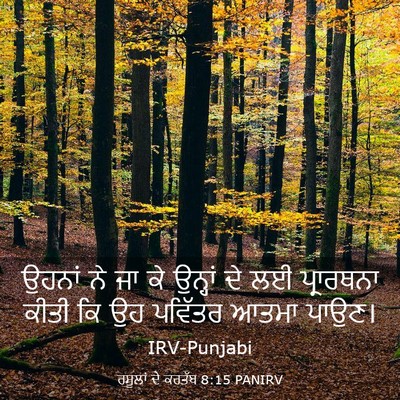 Picture 03 - ਰਸੂਲਾਂ ਦੇ ਕਰਤੱਬ 8:15 PANIRV - ਉਹਨਾਂ ਨੇ ਜਾ ਕੇ - Bible Verse Picture