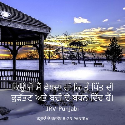 Picture 03 - ਰਸੂਲਾਂ ਦੇ ਕਰਤੱਬ 8:23 PANIRV - ਕਿਉਂ ਜੋ ਮੈਂ ਵੇਖਦਾ - Bible Verse Picture