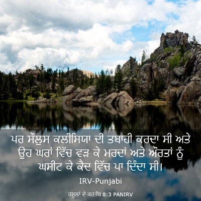 Picture 03 - ਰਸੂਲਾਂ ਦੇ ਕਰਤੱਬ 8:3 PANIRV - ਪਰ ਸੌਲੁਸ ਕਲੀਸਿਯਾ - Bible Verse Picture