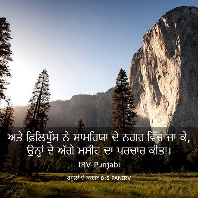 Picture 03 - ਰਸੂਲਾਂ ਦੇ ਕਰਤੱਬ 8:5 PANIRV - ਅਤੇ ਫ਼ਿਲਿਪੁੱਸ ਨੇ - Bible Verse Picture