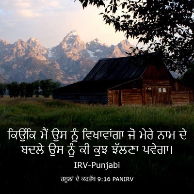 Picture 03 - ਰਸੂਲਾਂ ਦੇ ਕਰਤੱਬ 9:16 PANIRV - ਕਿਉਂਕਿ ਮੈਂ ਉਸ ਨੂੰ - Bible Verse Picture