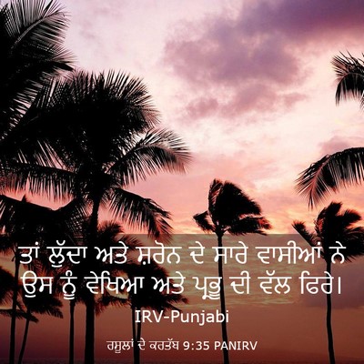 Picture 03 - ਰਸੂਲਾਂ ਦੇ ਕਰਤੱਬ 9:35 PANIRV - ਤਾਂ ਲੁੱਦਾ ਅਤੇ - Bible Verse Picture