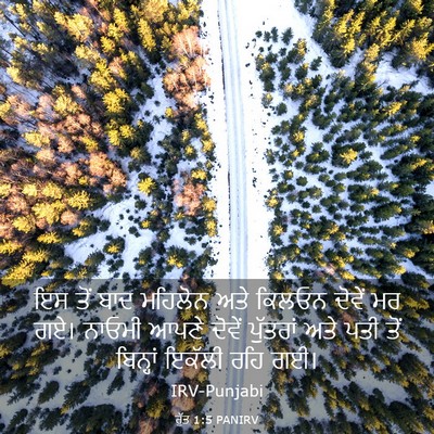 Picture 03 - ਰੁੱਤ 1:5 PANIRV - ਇਸ ਤੋਂ ਬਾਦ ਮਹਿਲੋਨ - Bible Verse Picture