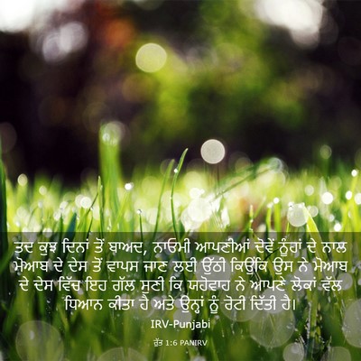 Picture 03 - ਰੁੱਤ 1:6 PANIRV - ਤਦ ਕੁਝ ਦਿਨਾਂ ਤੋਂ - Bible Verse Picture