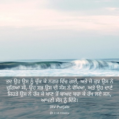 Picture 03 - ਰੁੱਤ 2:18 PANIRV - ਤਦ ਉਹ ਉਸ ਨੂੰ ਚੁੱਕ - Bible Verse Picture