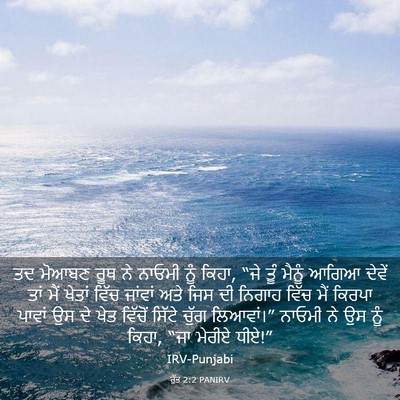 Picture 03 - ਰੁੱਤ 2:2 PANIRV - ਤਦ ਮੋਆਬਣ ਰੂਥ ਨੇ - Bible Verse Picture