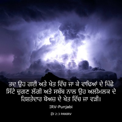 Picture 03 - ਰੁੱਤ 2:3 PANIRV - ਤਦ ਉਹ ਗਈ ਅਤੇ ਖੇਤ - Bible Verse Picture