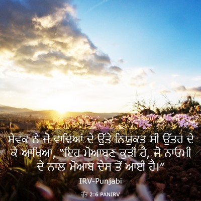 Picture 03 - ਰੁੱਤ 2:6 PANIRV - ਸੇਵਕ ਨੇ ਜੋ ਵਾਢਿਆਂ - Bible Verse Picture