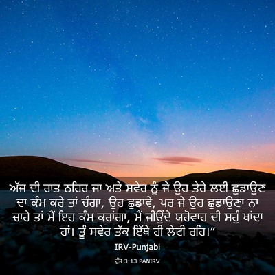 Picture 03 - ਰੁੱਤ 3:13 PANIRV - ਅੱਜ ਦੀ ਰਾਤ ਠਹਿਰ ਜਾ - Bible Verse Picture
