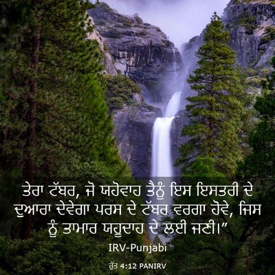 Picture 03 - ਰੁੱਤ 4:12 PANIRV - ਤੇਰਾ ਟੱਬਰ, ਜੋ - Bible Verse Picture