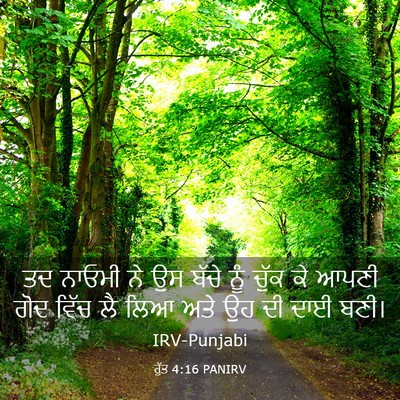 Picture 03 - ਰੁੱਤ 4:16 PANIRV - ਤਦ ਨਾਓਮੀ ਨੇ ਉਸ ਬੱਚੇ - Bible Verse Picture
