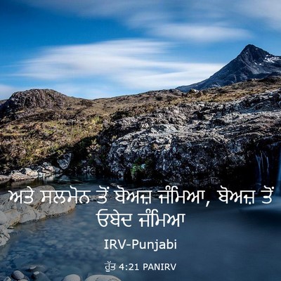 Picture 03 - ਰੁੱਤ 4:21 PANIRV - ਅਤੇ ਸਲਮੋਨ ਤੋਂ - Bible Verse Picture
