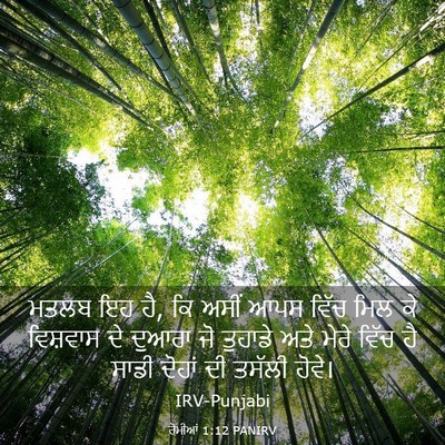 Picture 03 - ਰੋਮੀਆਂ 1:12 PANIRV - ਮਤਲਬ ਇਹ ਹੈ, ਕਿ ਅਸੀਂ - Bible Verse Picture