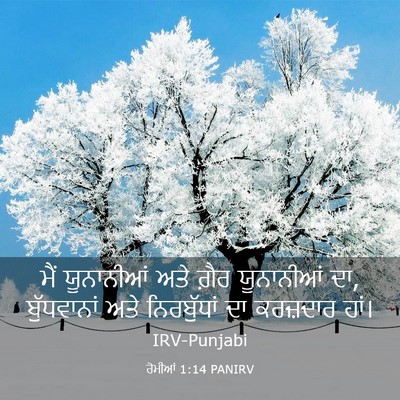 Picture 03 - ਰੋਮੀਆਂ 1:14 PANIRV - ਮੈਂ ਯੂਨਾਨੀਆਂ ਅਤੇ - Bible Verse Picture