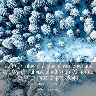 Picture 03 - ਰੋਮੀਆਂ 1:18 PANIRV - ਜਿਹੜੇ ਮਨੁੱਖ ਸਚਿਆਈ - Bible Verse Picture