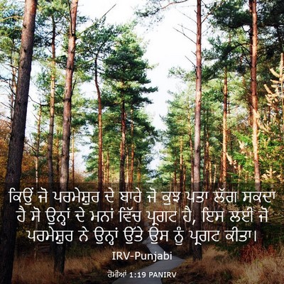 Picture 03 - ਰੋਮੀਆਂ 1:19 PANIRV - ਕਿਉਂ ਜੋ ਪਰਮੇਸ਼ੁਰ - Bible Verse Picture