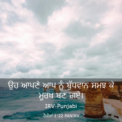 Picture 03 - ਰੋਮੀਆਂ 1:22 PANIRV - ਉਹ ਆਪਣੇ ਆਪ ਨੂੰ - Bible Verse Picture