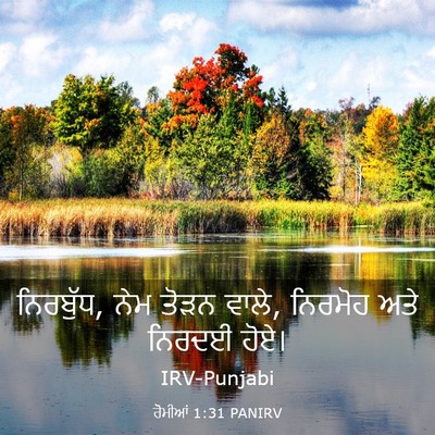 Picture 03 - ਰੋਮੀਆਂ 1:31 PANIRV - ਨਿਰਬੁੱਧ, ਨੇਮ ਤੋੜਨ - Bible Verse Picture