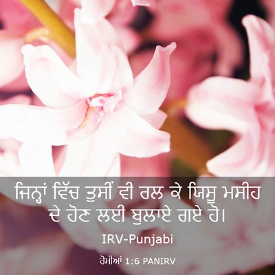 Picture 03 - ਰੋਮੀਆਂ 1:6 PANIRV - ਜਿਨ੍ਹਾਂ ਵਿੱਚ - Bible Verse Picture