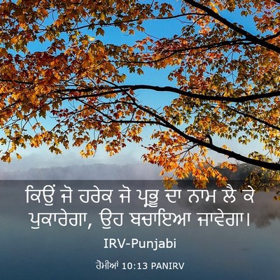 Picture 03 - ਰੋਮੀਆਂ 10:13 PANIRV - ਕਿਉਂ ਜੋ ਹਰੇਕ ਜੋ - Bible Verse Picture