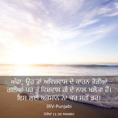 Picture 03 - ਰੋਮੀਆਂ 11:20 PANIRV - ਅੱਛਾ, ਉਹ ਤਾਂ - Bible Verse Picture