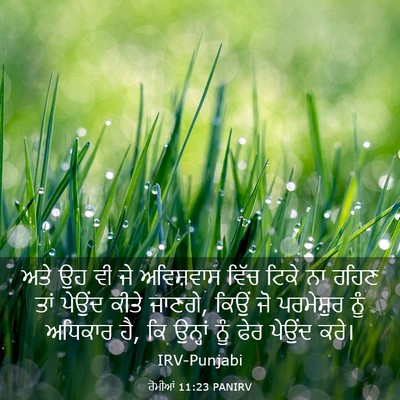 Picture 03 - ਰੋਮੀਆਂ 11:23 PANIRV - ਅਤੇ ਉਹ ਵੀ ਜੇ - Bible Verse Picture