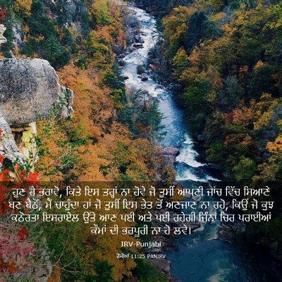 Picture 03 - ਰੋਮੀਆਂ 11:25 PANIRV - ਹੁਣ ਹੇ ਭਰਾਵੋ, ਕਿਤੇ - Bible Verse Picture