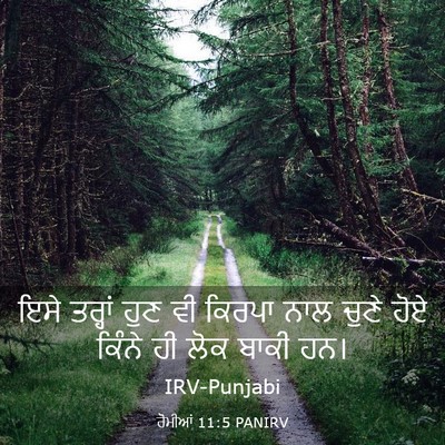Picture 03 - ਰੋਮੀਆਂ 11:5 PANIRV - ਇਸੇ ਤਰ੍ਹਾਂ ਹੁਣ ਵੀ - Bible Verse Picture