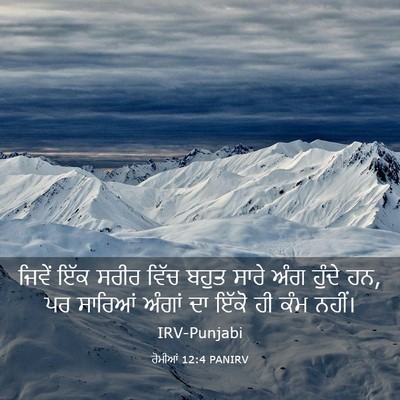 Picture 03 - ਰੋਮੀਆਂ 12:4 PANIRV - ਜਿਵੇਂ ਇੱਕ ਸਰੀਰ - Bible Verse Picture