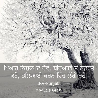Picture 03 - ਰੋਮੀਆਂ 12:9 PANIRV - ਪਿਆਰ ਨਿਸ਼ਕਪਟ ਹੋਵੇ, - Bible Verse Picture