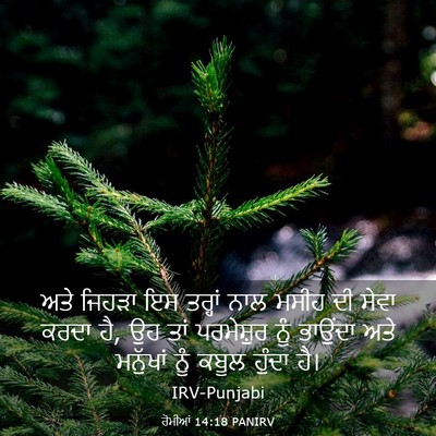 Picture 03 - ਰੋਮੀਆਂ 14:18 PANIRV - ਅਤੇ ਜਿਹੜਾ ਇਸ - Bible Verse Picture