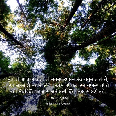 Picture 03 - ਰੋਮੀਆਂ 16:19 PANIRV - ਤੁਹਾਡੀ ਆਗਿਆਕਾਰੀ - Bible Verse Picture