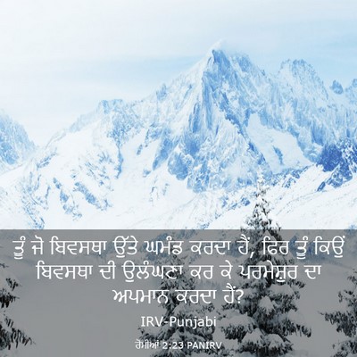 Picture 03 - ਰੋਮੀਆਂ 2:23 PANIRV - ਤੂੰ ਜੋ ਬਿਵਸਥਾ ਉੱਤੇ - Bible Verse Picture