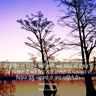 Picture 03 - ਰੋਮੀਆਂ 2:4 PANIRV - ਕੀ ਤੂੰ ਉਹ ਦੀ ਕਿਰਪਾ - Bible Verse Picture