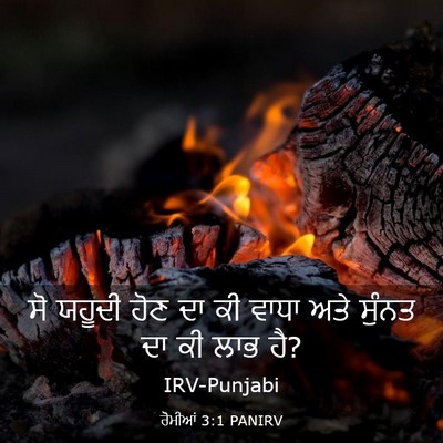 Picture 03 - ਰੋਮੀਆਂ 3:1 PANIRV - ਸੋ ਯਹੂਦੀ ਹੋਣ ਦਾ ਕੀ - Bible Verse Picture