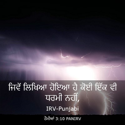 Picture 03 - ਰੋਮੀਆਂ 3:10 PANIRV - ਜਿਵੇਂ ਲਿਖਿਆ ਹੋਇਆ - Bible Verse Picture