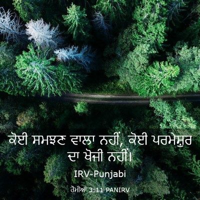 Picture 03 - ਰੋਮੀਆਂ 3:11 PANIRV - ਕੋਈ ਸਮਝਣ ਵਾਲਾ ਨਹੀਂ, - Bible Verse Picture