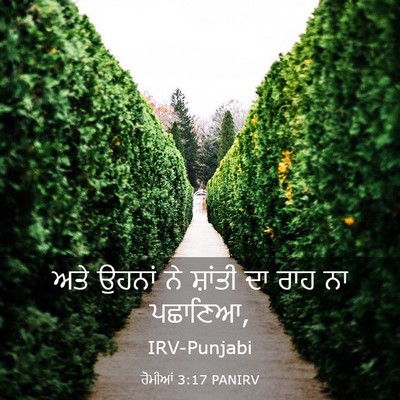 Picture 03 - ਰੋਮੀਆਂ 3:17 PANIRV - ਅਤੇ ਉਹਨਾਂ ਨੇ - Bible Verse Picture