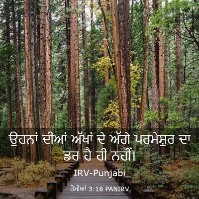 Picture 03 - ਰੋਮੀਆਂ 3:18 PANIRV - ਉਹਨਾਂ ਦੀਆਂ ਅੱਖਾਂ - Bible Verse Picture