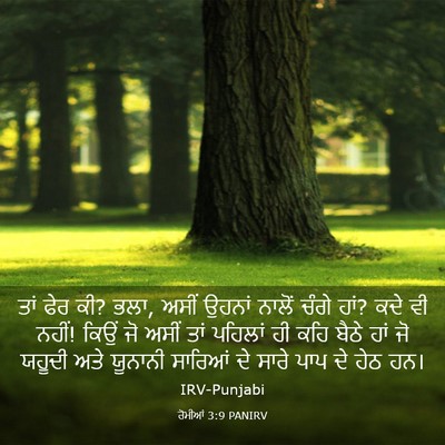Picture 03 - ਰੋਮੀਆਂ 3:9 PANIRV - ਤਾਂ ਫੇਰ ਕੀ? ਭਲਾ, - Bible Verse Picture